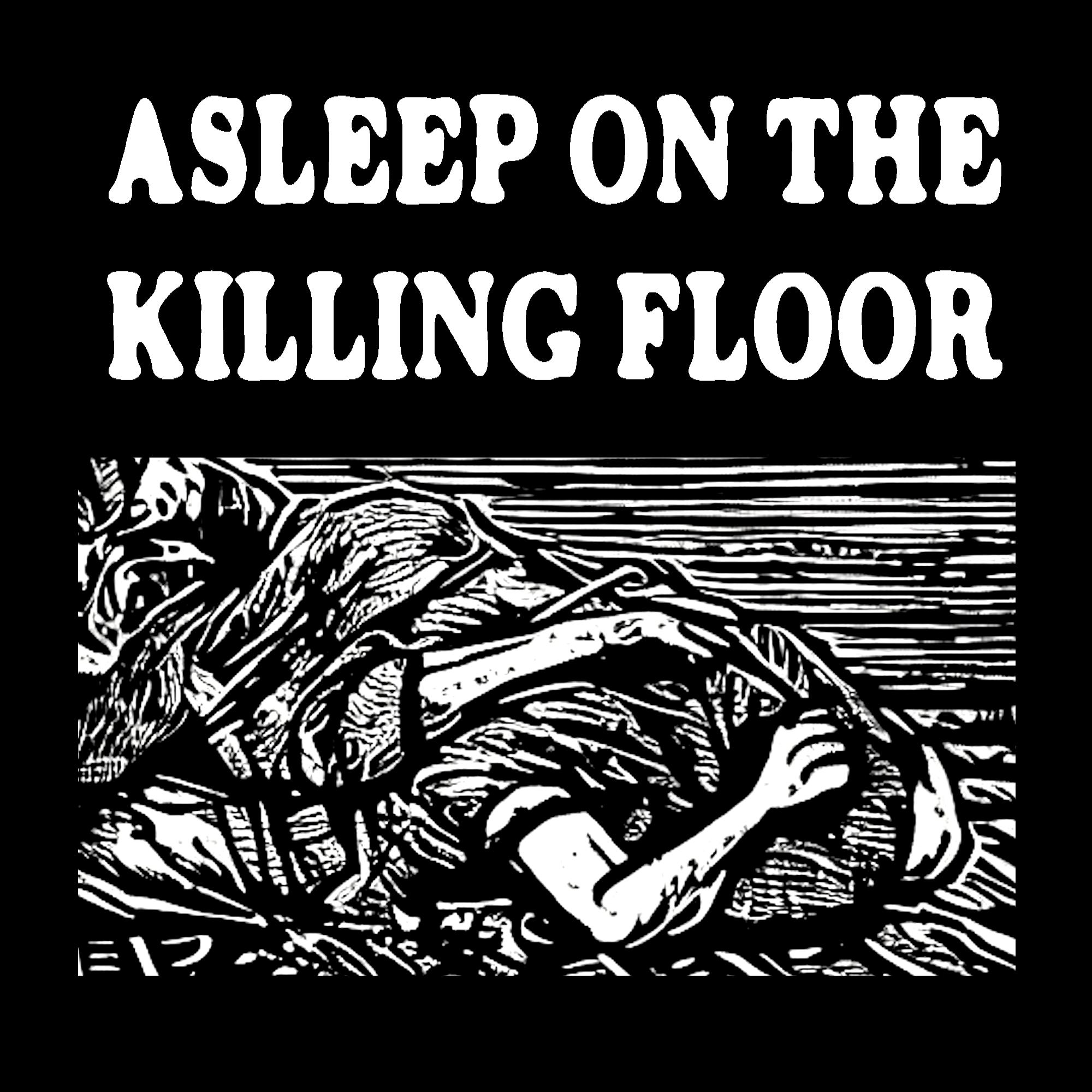 Asleep On The Killing Floor album art